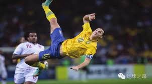 进行全面的 进行全面的