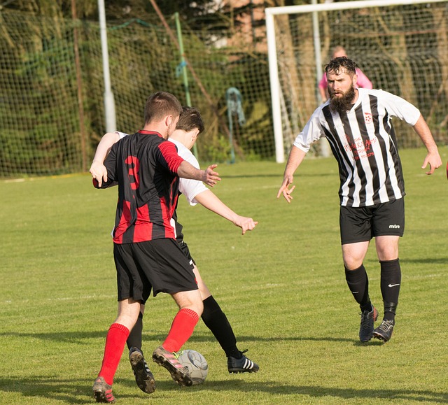 开始重新评 开始重新评