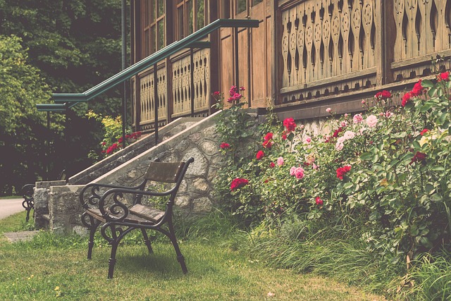 目前和未來 目前和未來