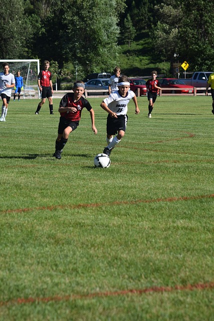 经济和管理 经济和管理