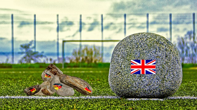 参赛队伍中 参赛队伍中