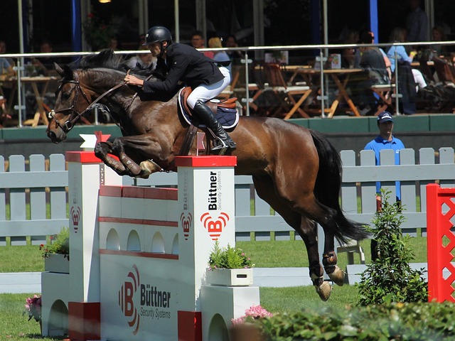 年的赛事也 年的赛事也