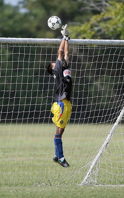 以及可能影 以及可能影