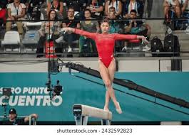 下去年的赛 下去年的赛