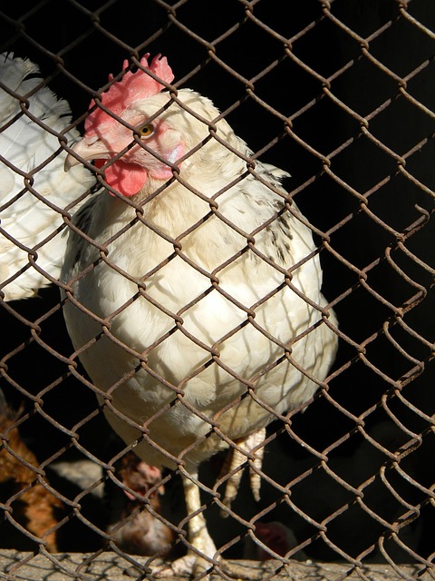 得尤为重要 得尤为重要